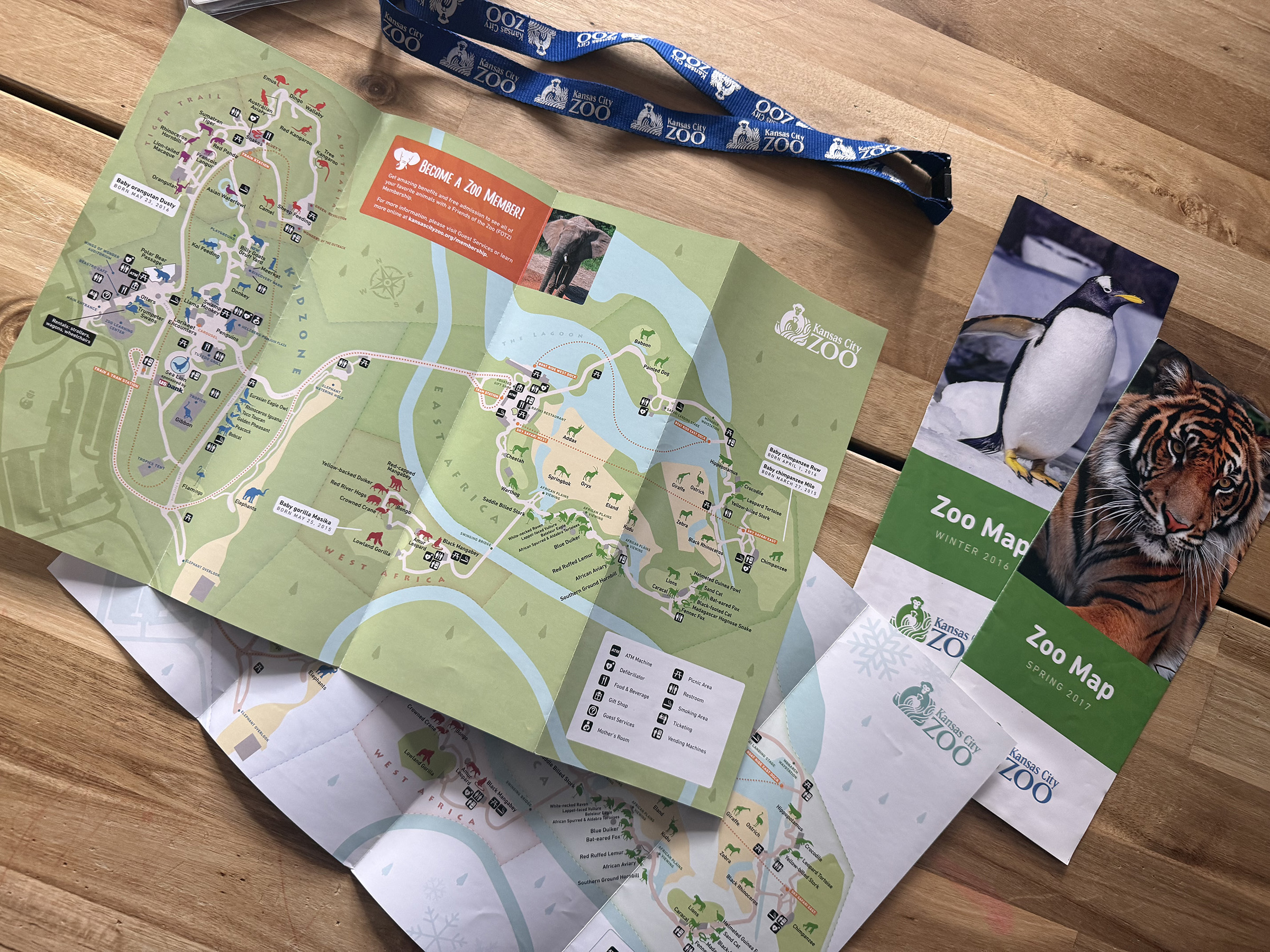 Final printed map of the zoo