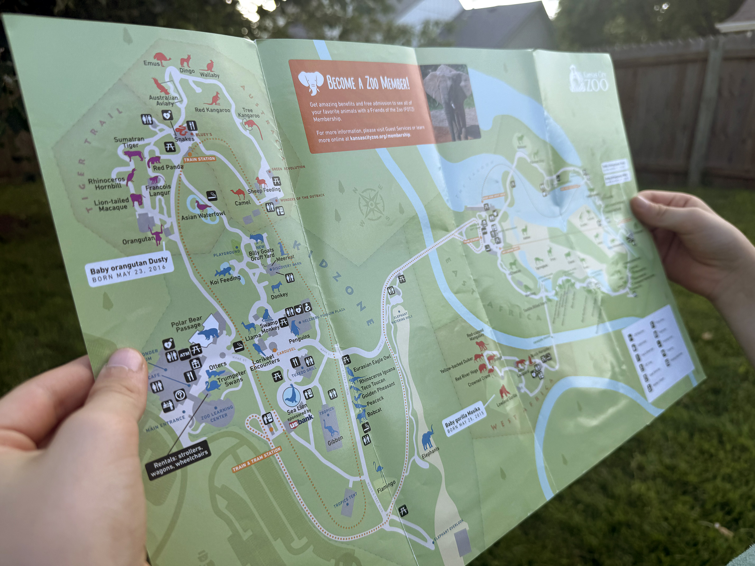 Kansas City Zoo Map